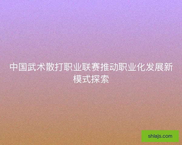 中国武术散打职业联赛推动职业化发展新模式探索