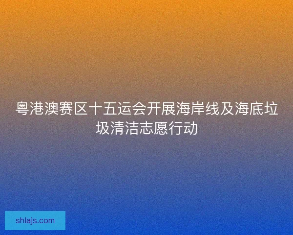 粤港澳赛区十五运会开展海岸线及海底垃圾清洁志愿行动