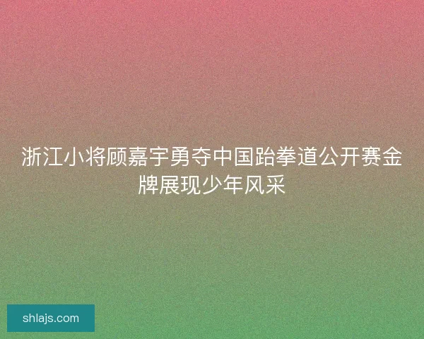 浙江小将顾嘉宇勇夺中国跆拳道公开赛金牌展现少年风采 浙江小将顾嘉宇勇夺中国跆拳道公开赛金牌展现少年风采